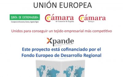 ABIERTA LA CONVOCATORIA DEL PROGRAMA XPANDE “APOYO A LA EXPANSIÓN INTERNACIONAL DE LA PYME”