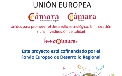 ABIERTA LA CONVOCATORIA DE AYUDAS – PROGRAMA INNOCAMARAS 2021