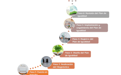 DISEÑA PASO A PASO TU PLAN DE IGUALDAD