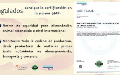 INGULADOS YA CUENTA CON CERTIFICADO GMP+ (versión 2020)