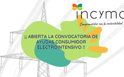 AHORRA EN TU FACTURA DE LA LUZ: ISO 50001:2018 Y AYUDA ELECTROINTENSIVOS