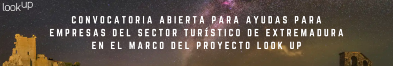 Proyecto LookUP