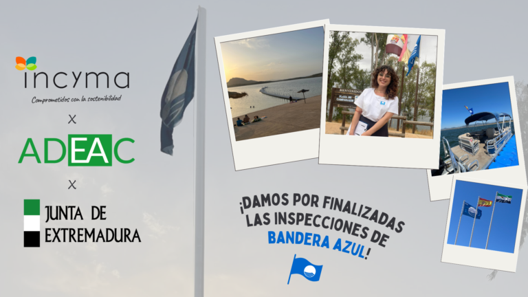 BANDERA AZUL