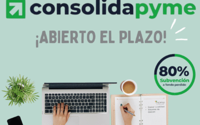 80% DE FINANCIACIÓN PARA LA IMPLANTACIÓN DE NORMAS GRACIAS A CONSOLIDAPYME